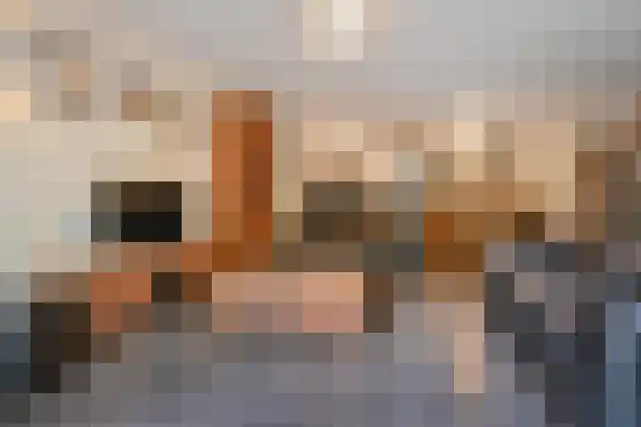 Rossinilaan 407 Den Haag thumbnail 13