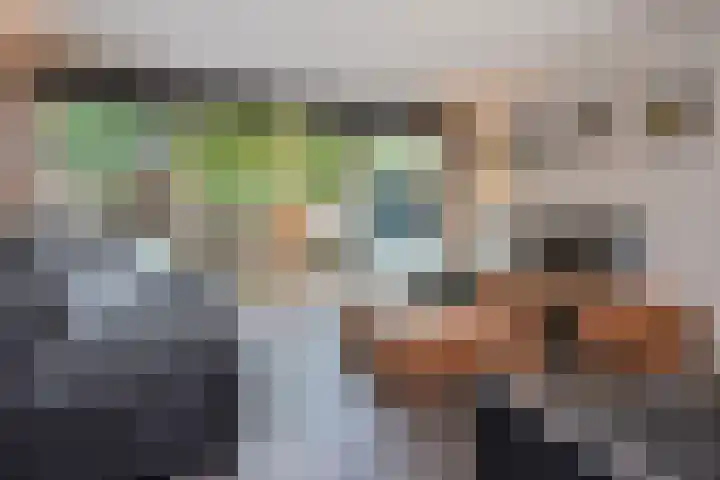 Rossinilaan 407 Den Haag thumbnail 15
