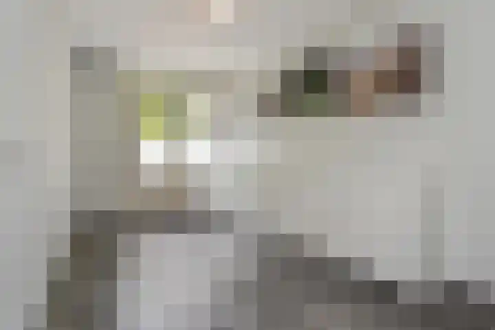 Rossinilaan 407 Den Haag thumbnail 28
