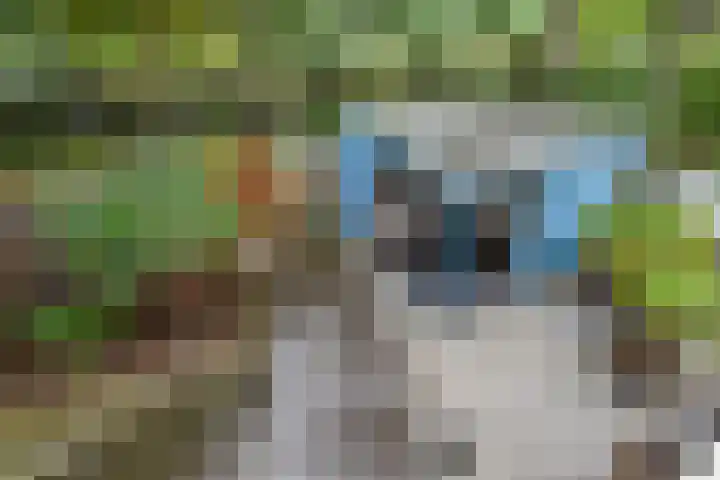 Rossinilaan 407 Den Haag thumbnail 33
