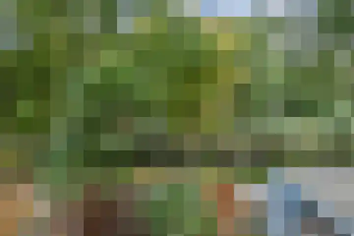 Rossinilaan 407 Den Haag thumbnail 34