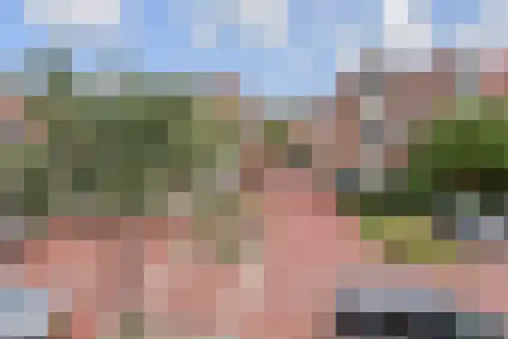 Rossinilaan 407 Den Haag thumbnail 35