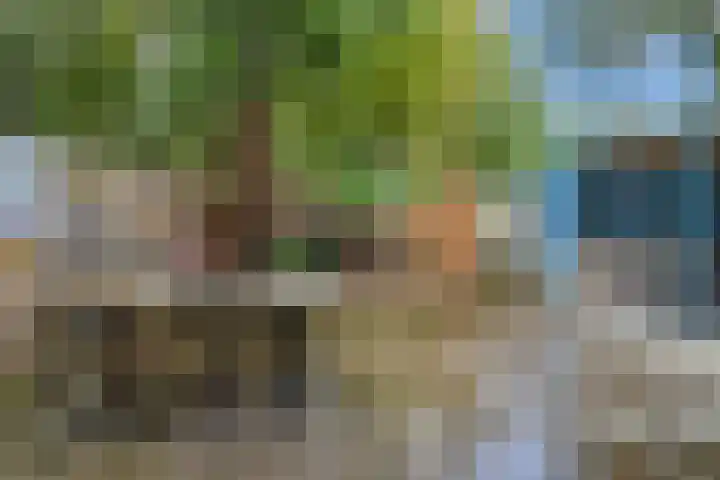 Rossinilaan 407 Den Haag thumbnail 4