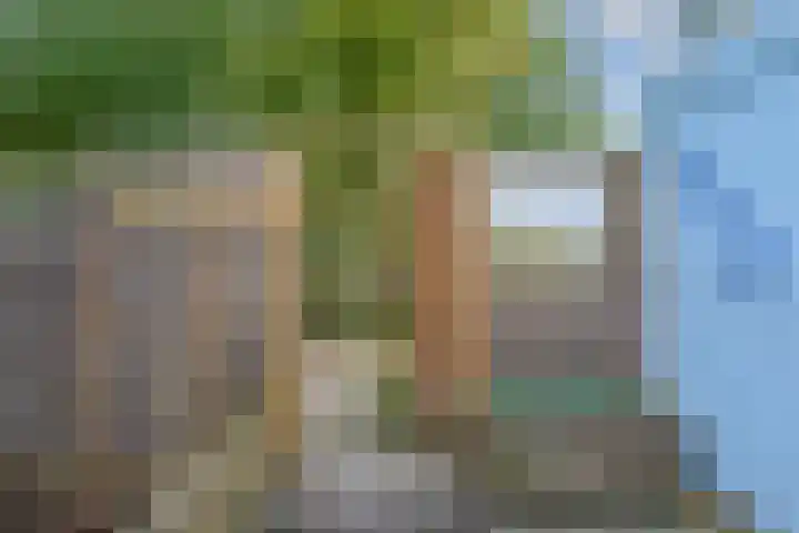 Rossinilaan 407 Den Haag thumbnail 41