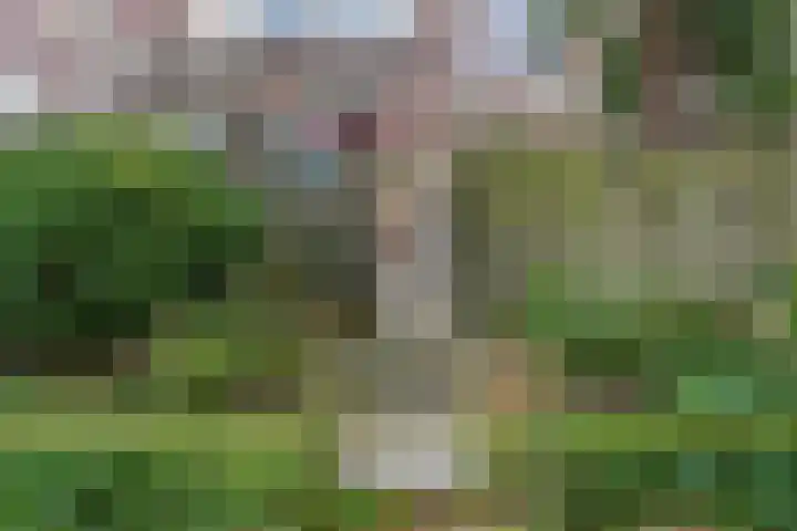 Rossinilaan 407 Den Haag thumbnail 42