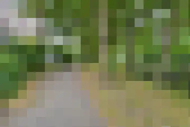 Rossinilaan 407 Den Haag thumbnail 43