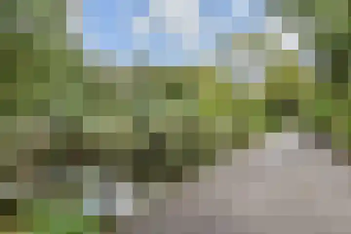 Rossinilaan 407 Den Haag thumbnail 44