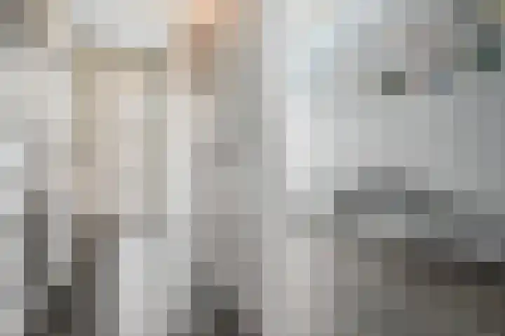 Rossinilaan 407 Den Haag thumbnail 8