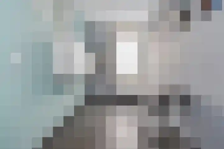 Rossinilaan 407 Den Haag thumbnail 9