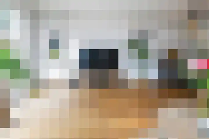 Rossinilaan 5 Nieuw-Vennep thumbnail 12