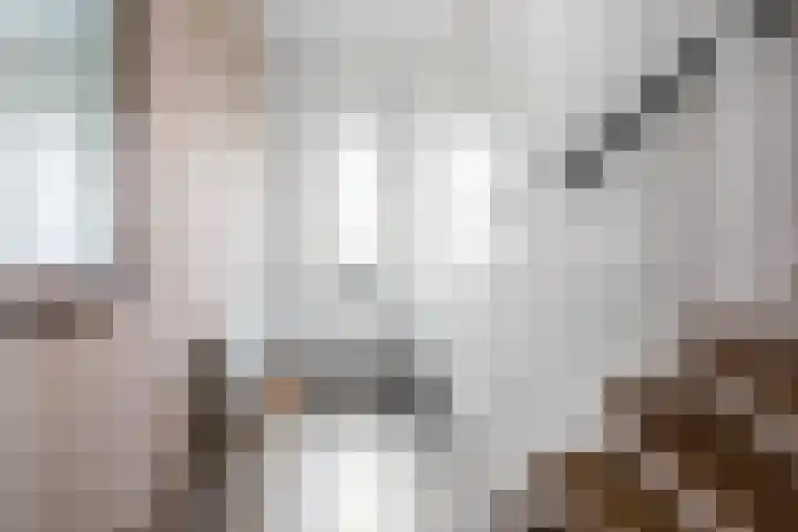 Rossinilaan 5 Nieuw-Vennep thumbnail 16