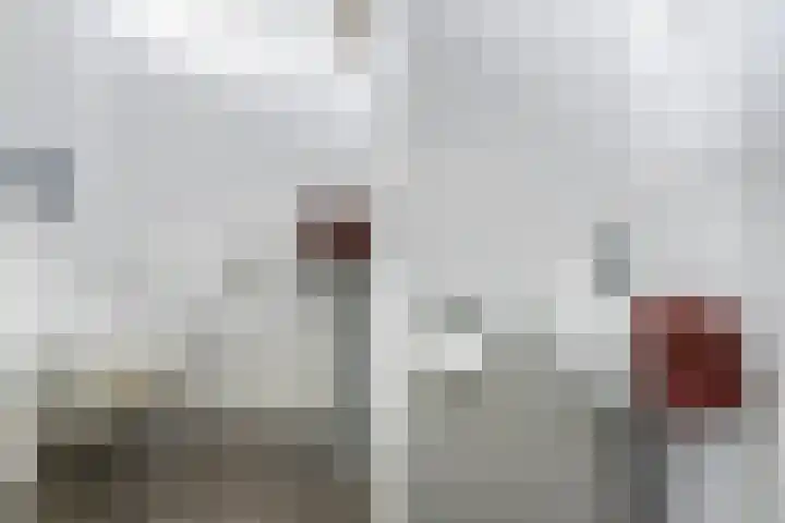 Rossinilaan 5 Nieuw-Vennep thumbnail 17