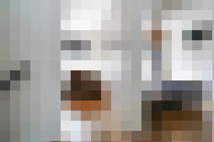 Rossinilaan 5 Nieuw-Vennep thumbnail 18