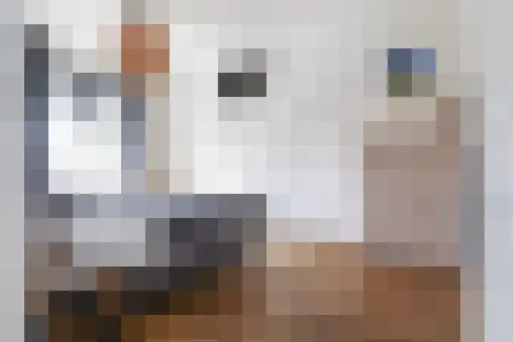 Rossinilaan 5 Nieuw-Vennep thumbnail 19