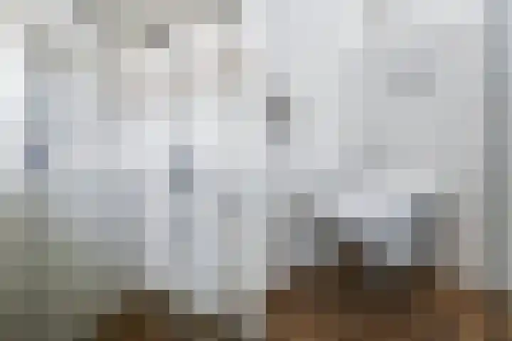 Rossinilaan 5 Nieuw-Vennep thumbnail 28