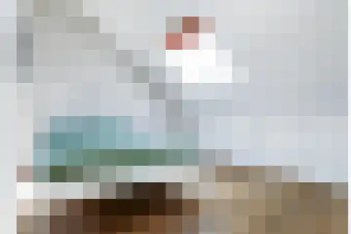 Rossinilaan 5 Nieuw-Vennep thumbnail 30