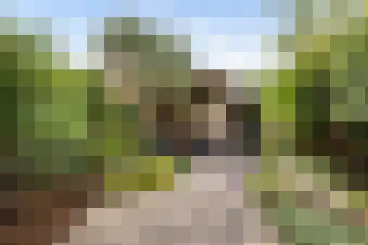 Rossinilaan 5 Nieuw-Vennep thumbnail 36