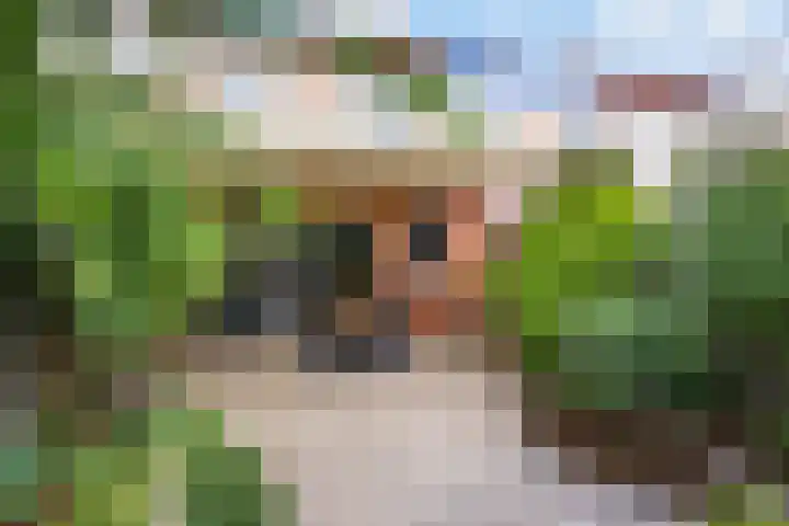 Rossinilaan 5 Nieuw-Vennep thumbnail 37