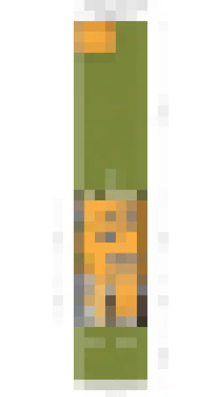 Rossinilaan 5 Nieuw-Vennep thumbnail 38