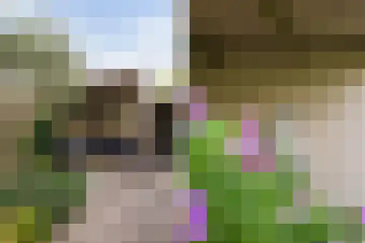 Rossinilaan 5 Nieuw-Vennep thumbnail 5