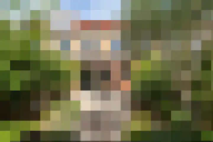 Rossinilaan 5 Nieuw-Vennep thumbnail 6