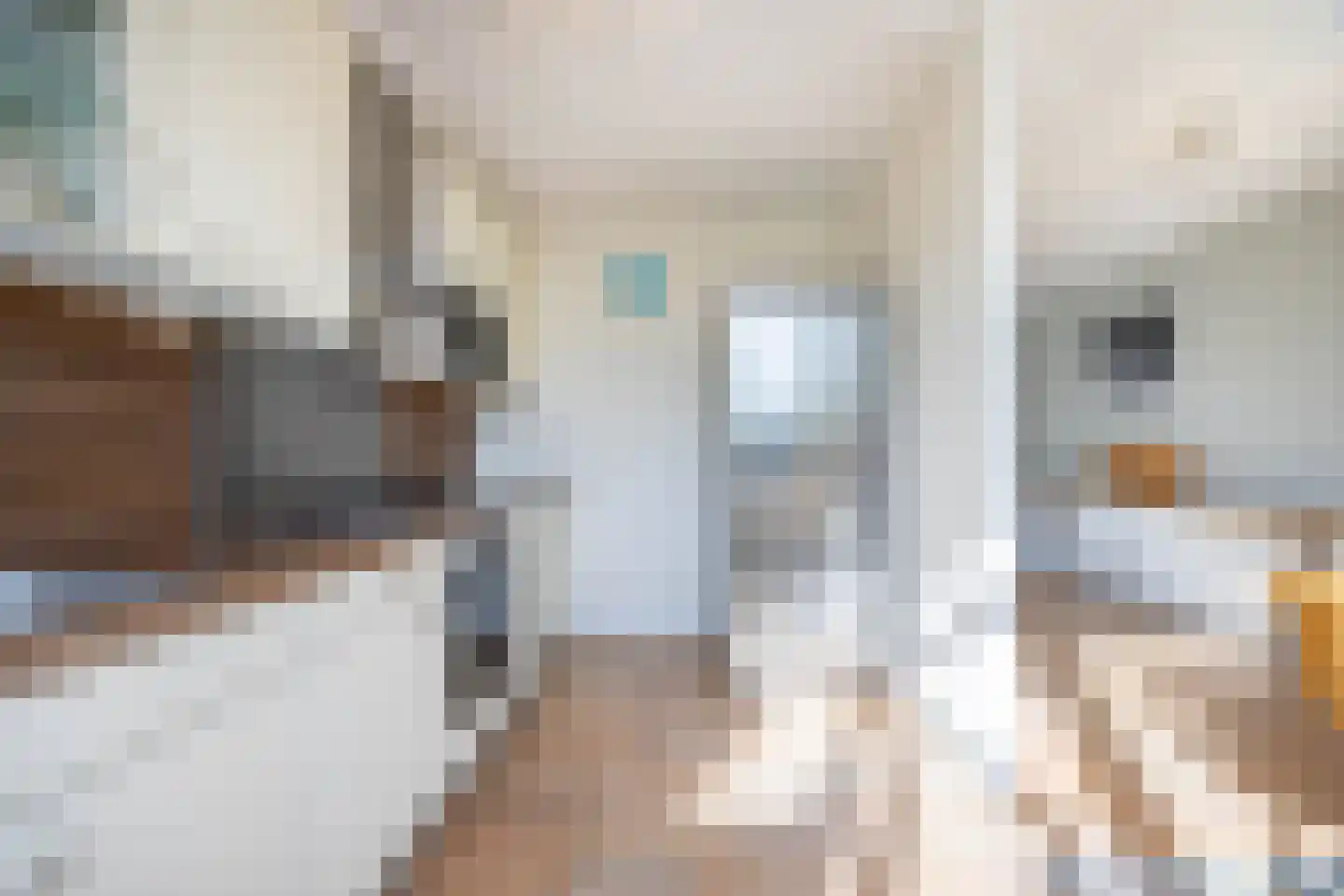 Rossinilaan 56 Den Haag thumbnail 11
