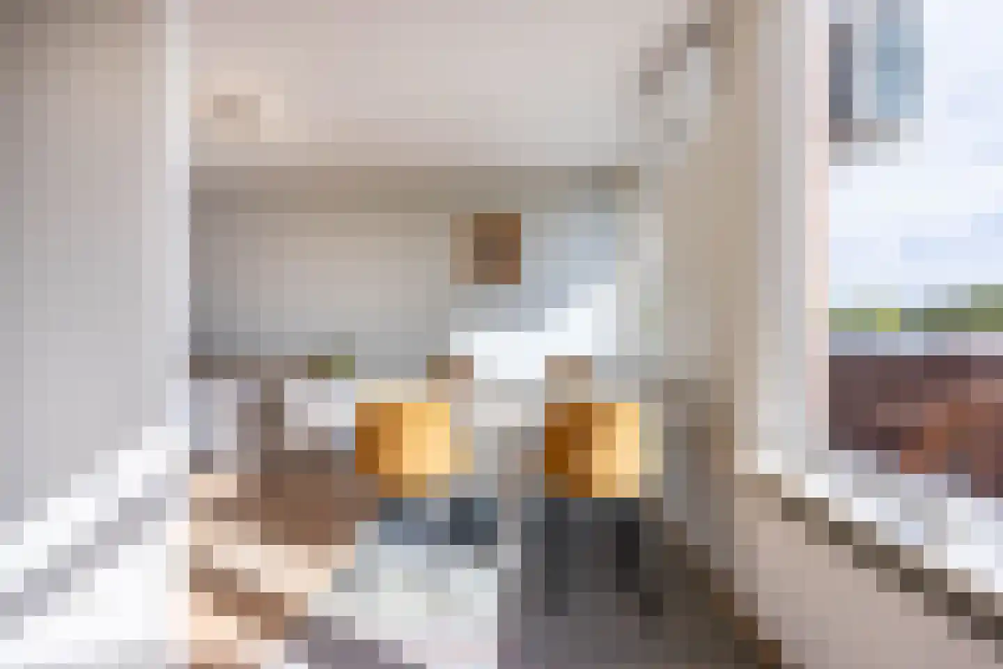 Rossinilaan 56 Den Haag thumbnail 12