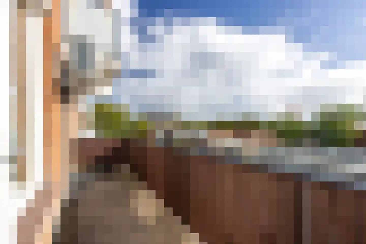 Rossinilaan 56 Den Haag thumbnail 13