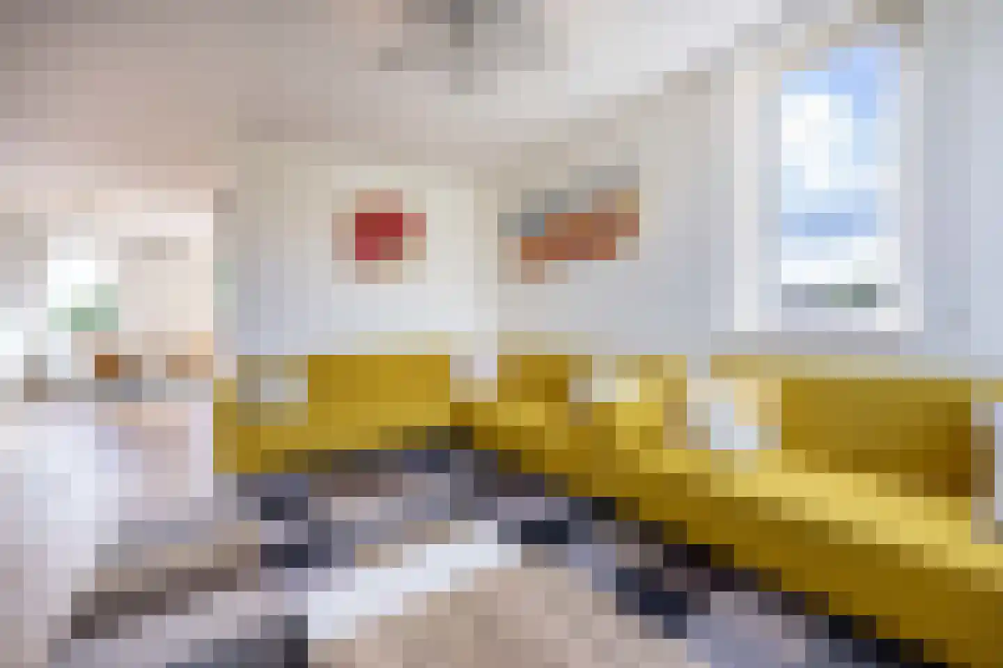 Rossinilaan 56 Den Haag thumbnail 19