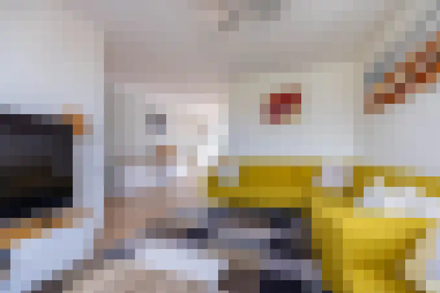 Rossinilaan 56 Den Haag thumbnail 20