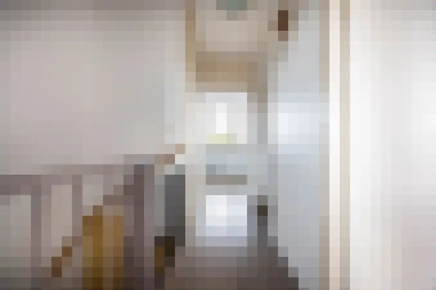 Rossinilaan 56 Den Haag thumbnail 22