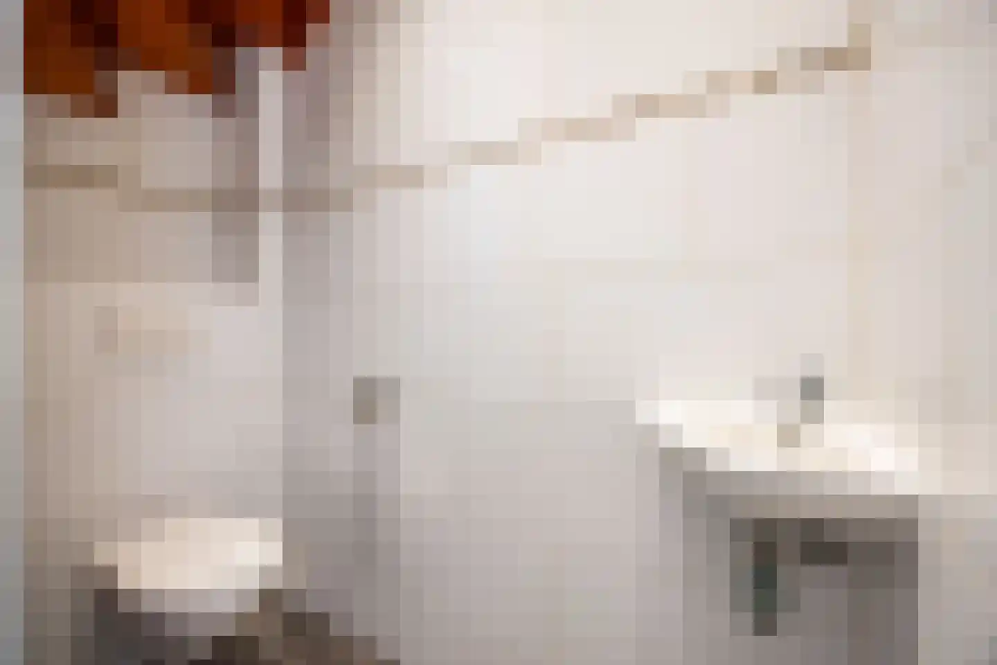 Rossinilaan 56 Den Haag thumbnail 32