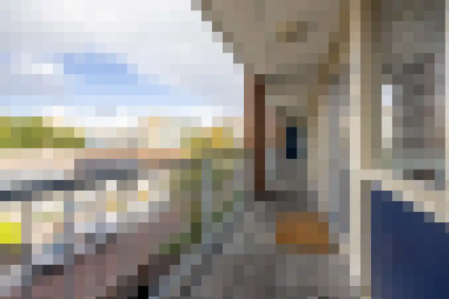 Rossinilaan 56 Den Haag thumbnail 8