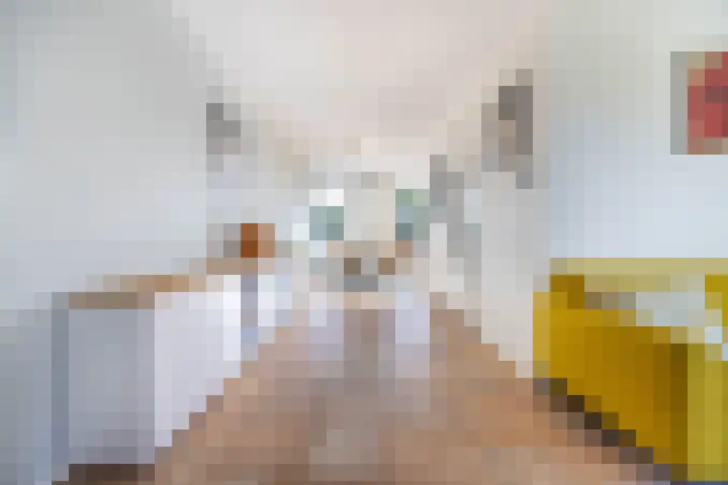 Rossinilaan 56 Den Haag thumbnail 9