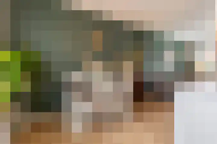 Rossinilaan 6 Apeldoorn thumbnail 16