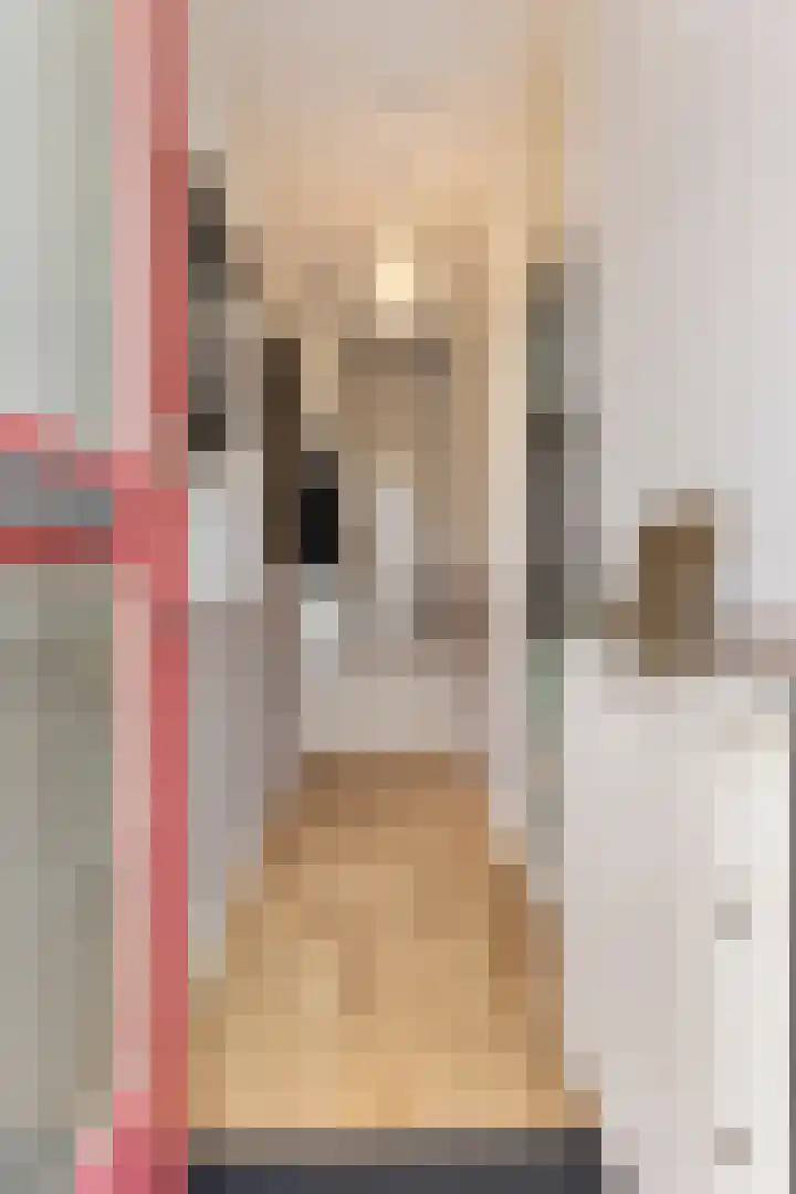 Rossinilaan 6 Apeldoorn thumbnail 17