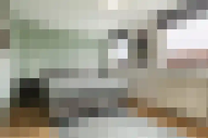 Rossinilaan 6 Apeldoorn thumbnail 20