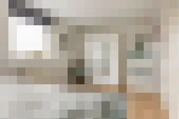 Rossinilaan 6 Apeldoorn thumbnail 21
