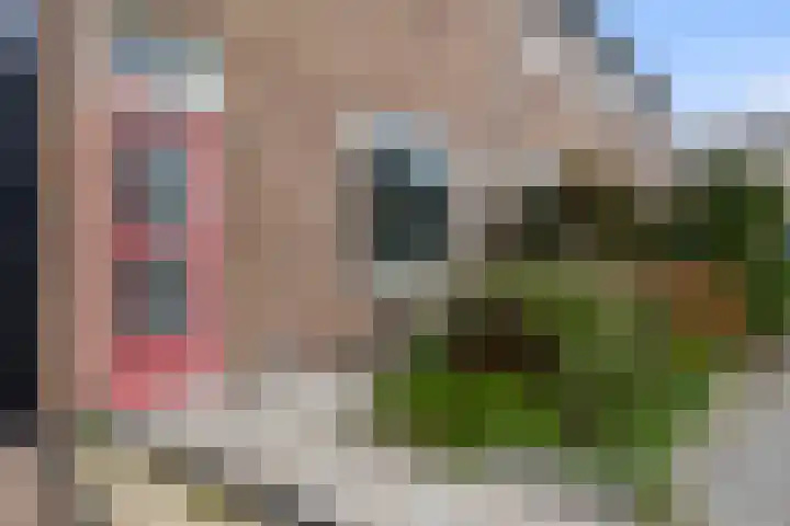 Rossinilaan 6 Apeldoorn thumbnail 29