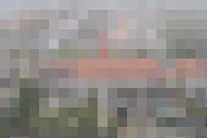 Rossinilaan 6 Apeldoorn thumbnail 32