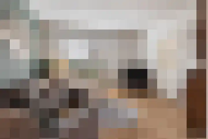 Rossinilaan 6 Apeldoorn thumbnail 4