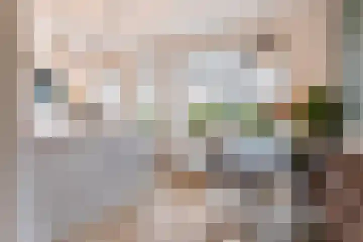 Rossinilaan 6 Apeldoorn thumbnail 8