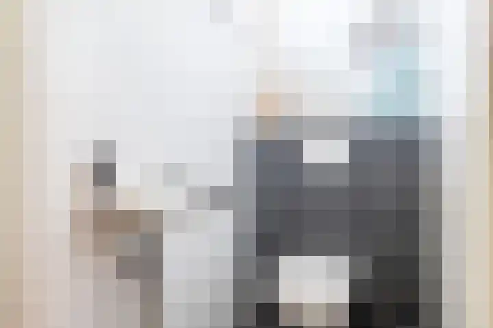 Rossinipad 24 Voorhout thumbnail 11