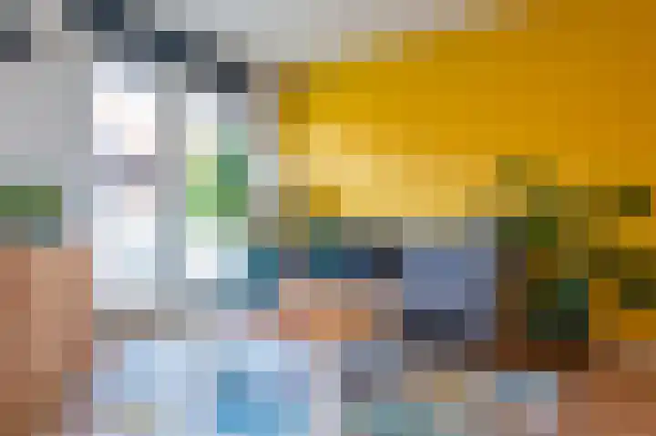 Rossinipad 24 Voorhout thumbnail 21