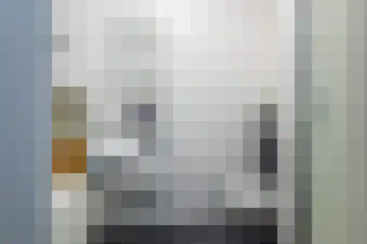 Rossinipad 24 Voorhout thumbnail 28