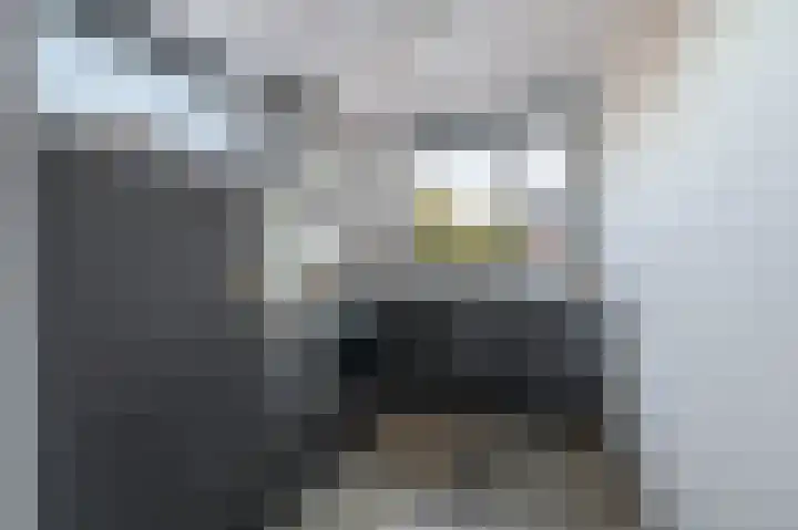 Rossinipad 34 Voorhout thumbnail 10