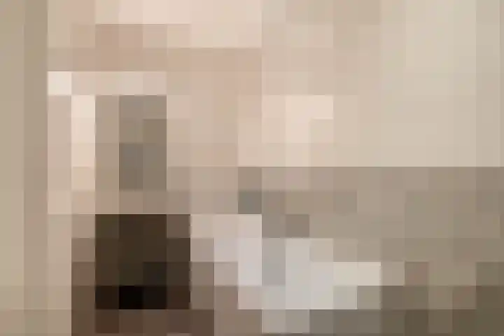 Rossinipad 34 Voorhout thumbnail 18
