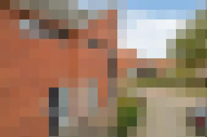Rossinipad 34 Voorhout thumbnail 36