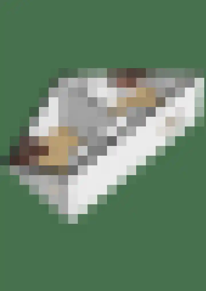 Rossinipad 34 Voorhout thumbnail 41