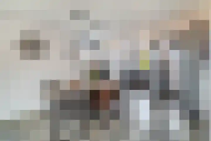 Rossinipad 34 Voorhout thumbnail 7
